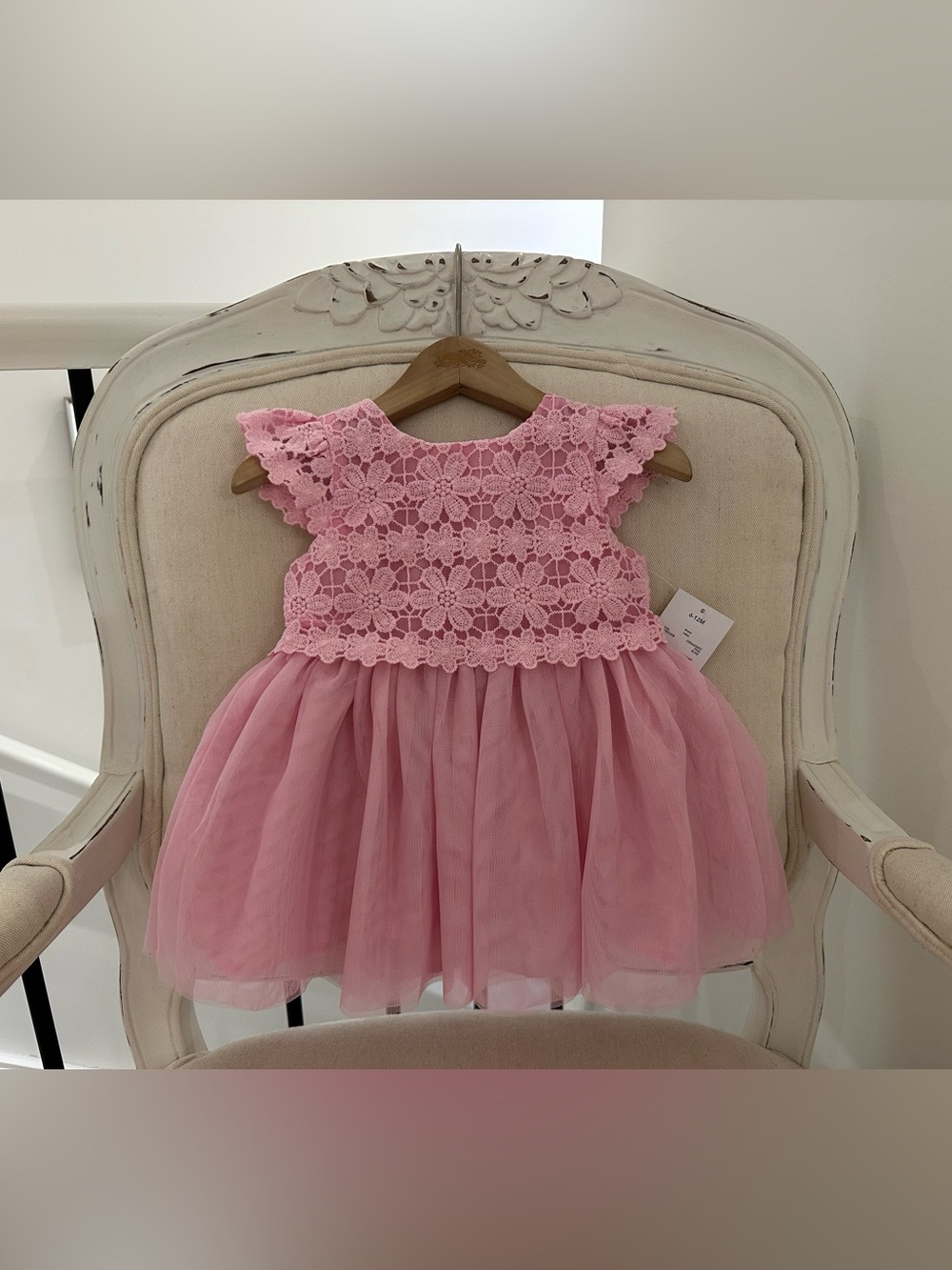 🦢 6~12 Mth Pink Floral Lace Tulle Baby Dress NWT